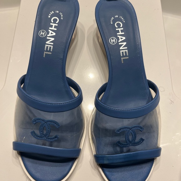 ❌SOLD❌ CHANEL 19S Spring 2019 Blue Lambskin Transparent PVC CC Logo - Picture 2 of 7